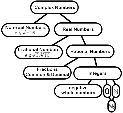 The Number Tree