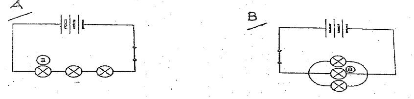 Circuit A & B - Natural Sciences Term 3 Grade 8