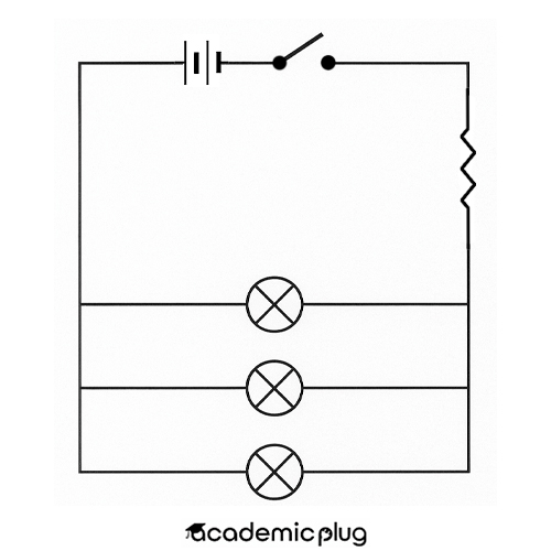 Circuit Diagram Natural Sciences Grade 8