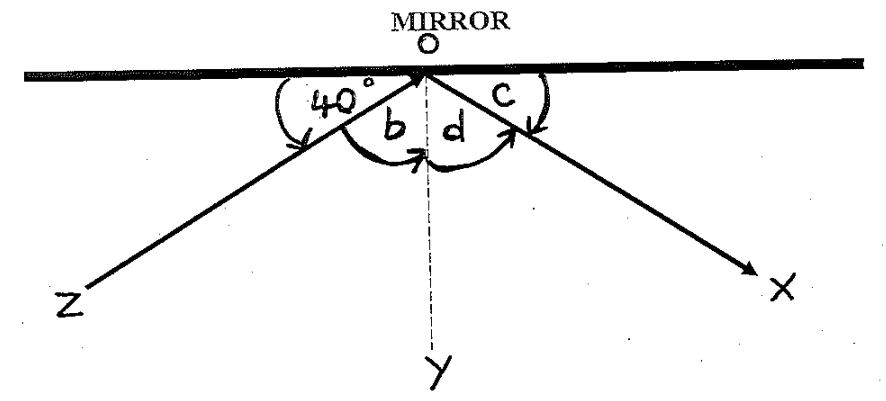 Natural Sciences Term 3 Grade 8 2025 2018 Questions Paper