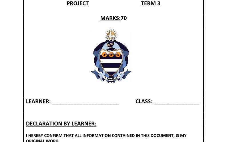 Life Orientation Grade 8 Term 3 2020 Project